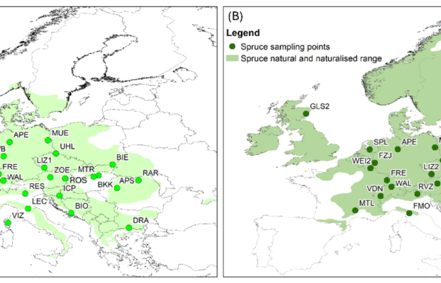 New publication is now online!
